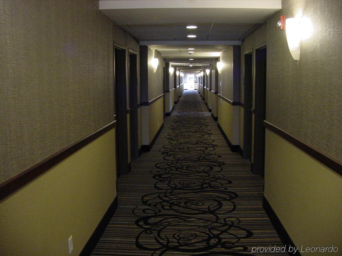 Holiday Inn Express & Suites Fredericksburg By Ihg Екстер'єр фото